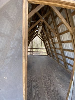 Lake Houston Wilderness Park by null