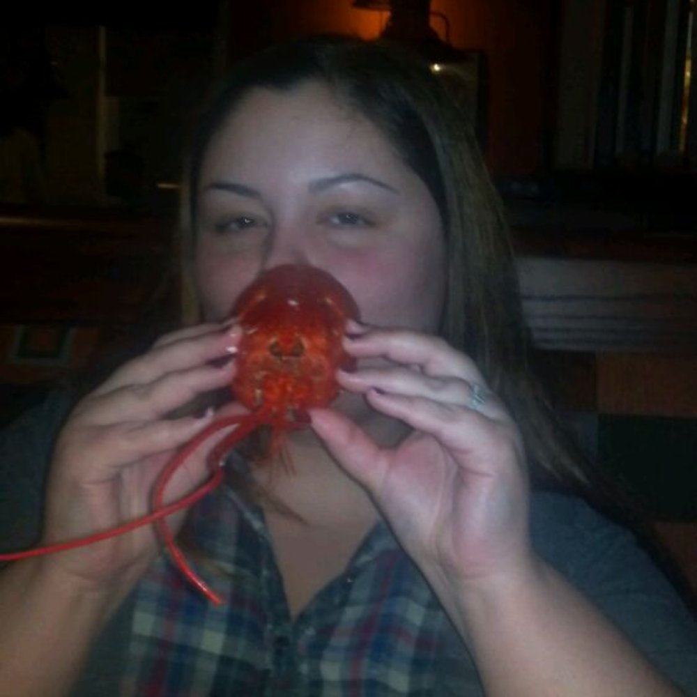 Red Lobster - My 3lb. Lobster lol - Seafood Near Me - Miami, Florida Red Lobster - My 3lb. Lobster lol - Seafood Near Me - Miami, Florida