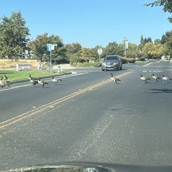 Natomas Park