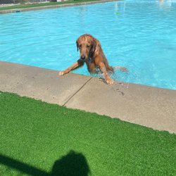 Lucky Paws Pet Resort