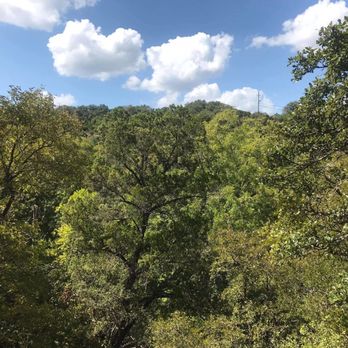 Austin Nature & Science Center - The beautiful trees - Zoos Near Me - Austin, Texas Austin Nature & Science Center - The beautiful trees - Zoos Near Me - Austin, Texas
