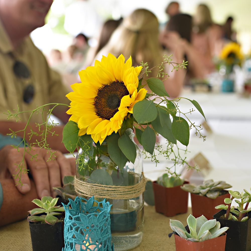 ミュージック GLAY DRIVE 1993~2026 -GLAY complete BEST THE BEST 10 Party & Event Planning near Black River Falls, WI