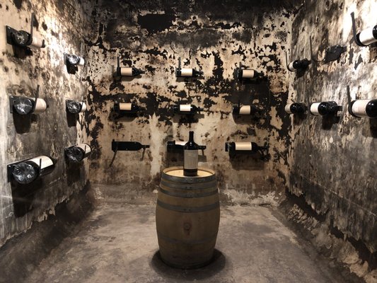 Casarena Bodega y Viñedos by null