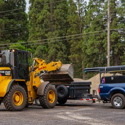 Bark Boys - Customer getting loaded