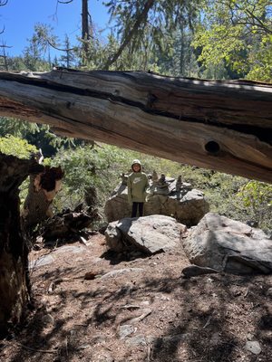 Heart Rock Trail by null