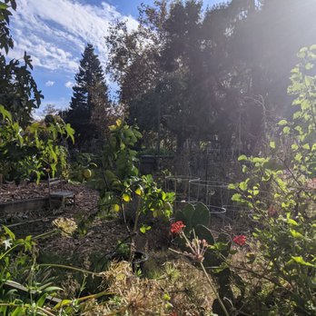 Edith Johnson Park - Parks Near Me - Palo Alto, California Edith Johnson Park - Parks Near Me - Palo Alto, California