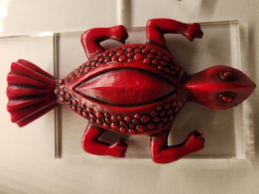 German Pharmacy Museum by null