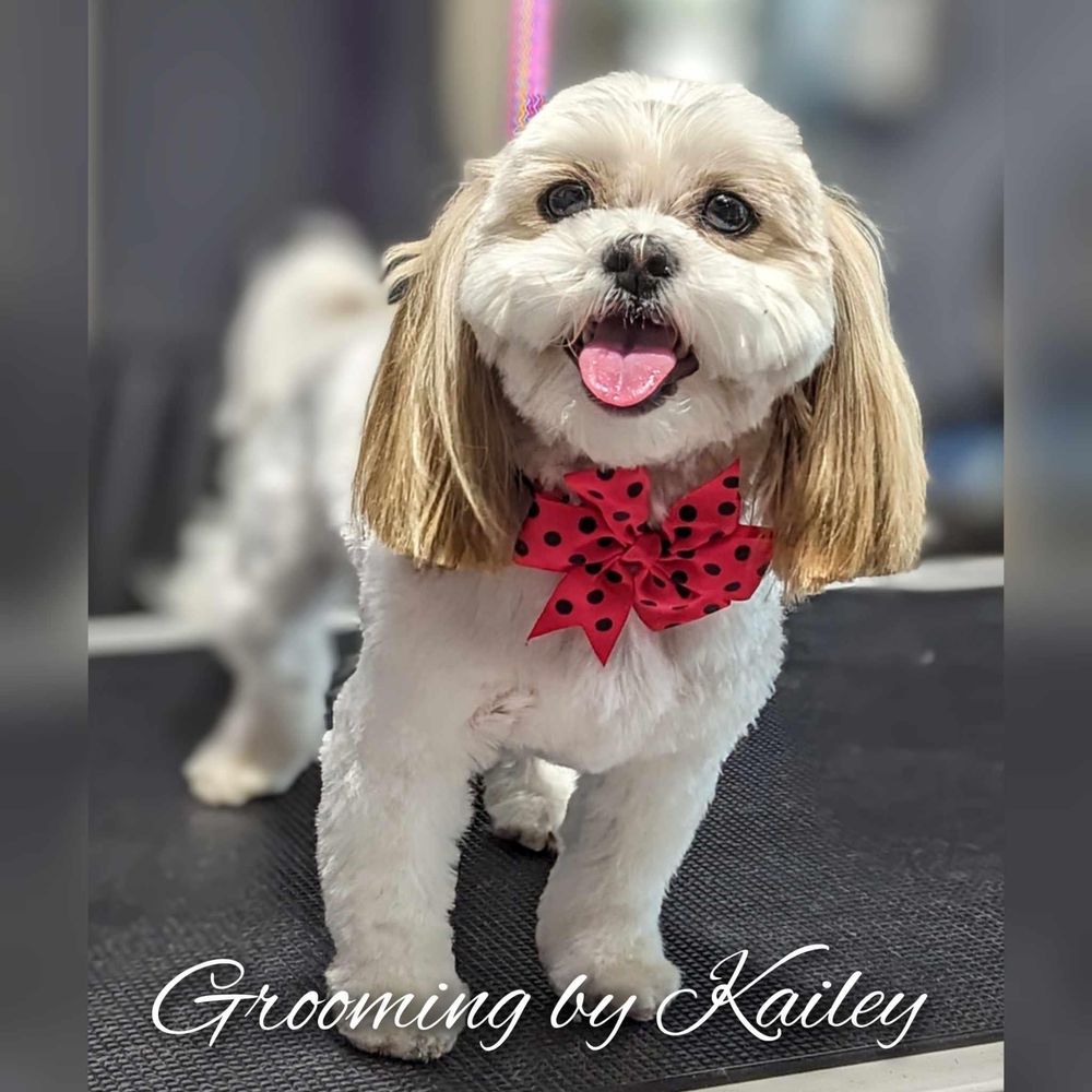 PAMPERED POOCH FARMS with 66 real customer photos Updated August 2024