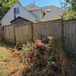 The Cleanup Collective