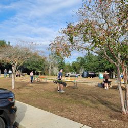 Fall Festival