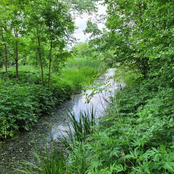 Lake Manor Park - Beauty of a day! - Parks Near Me - Addison, Illinois