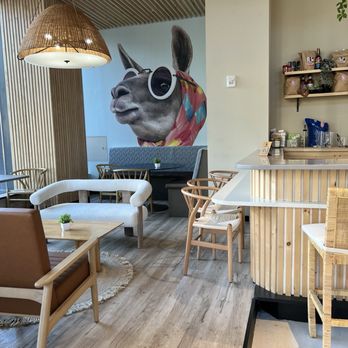Llamabar - Inside - Cafes Near Me - Washington, DC, District of Columbia