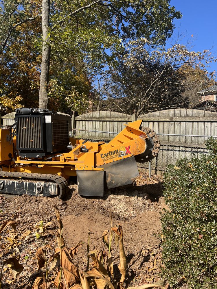 D&D Top Notch Tree Service - tree service in Greer, SC