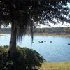 Pecan Park RV Community gift card