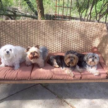 Doo Doo Squad - Pet Waste Removal Near Me - Carmichael, California