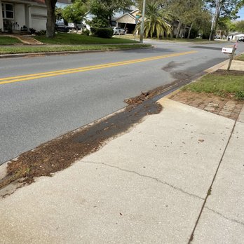Jax Elite Home Services - Notice the Nieghbor's drive way nice and clean and mine gross. - Window Washing Near Me - Jacksonville, Florida Jax Elite Home Services - Notice the Nieghbor's drive way nice and clean and mine gross. - Window Washing Near Me - Jacksonville, Florida