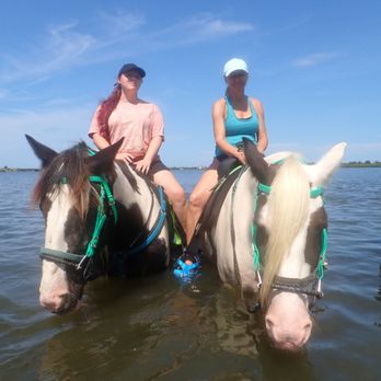 CPonies - Horseback Riding Near Me - Bradenton, Florida