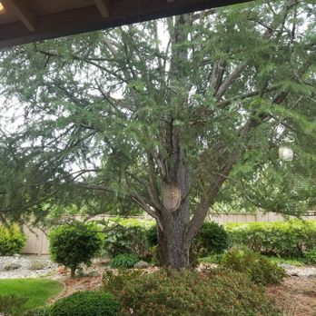 Mathers Tree Service - Tree Services Near Me