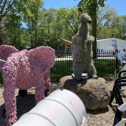 Braidwoid Zoo