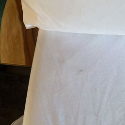 hair and stains on the bed sheets hair and stains on the bed sheets