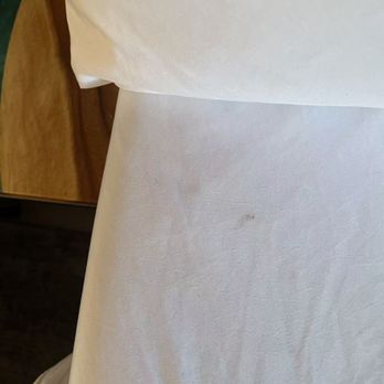 GreenTree Inn Sedona - hair and stains on the bed sheets - Hotels Near Me - Sedona, Arizona GreenTree Inn Sedona - hair and stains on the bed sheets - Hotels Near Me - Sedona, Arizona