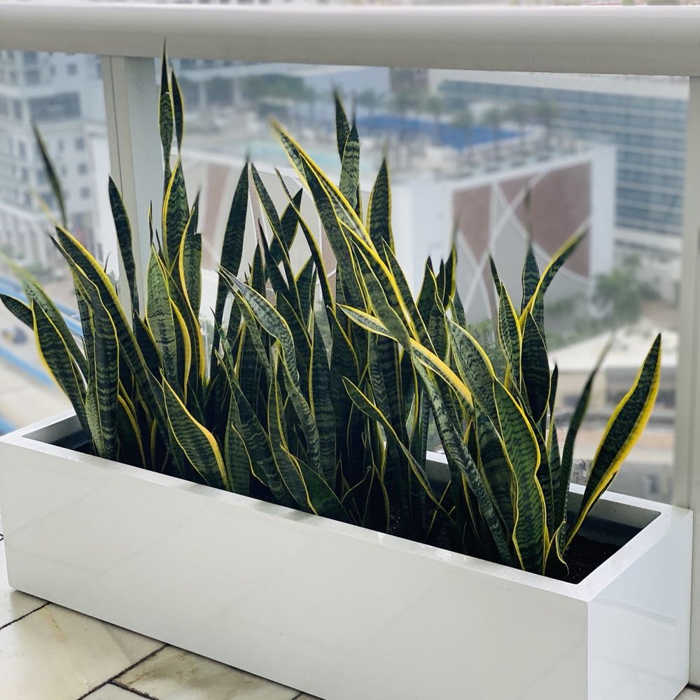 Jay Scotts Collection - 45" Planter - Home Decor Near Me - Dania Beach, Florida Jay Scotts Collection - 45" Planter - Home Decor Near Me - Dania Beach, Florida