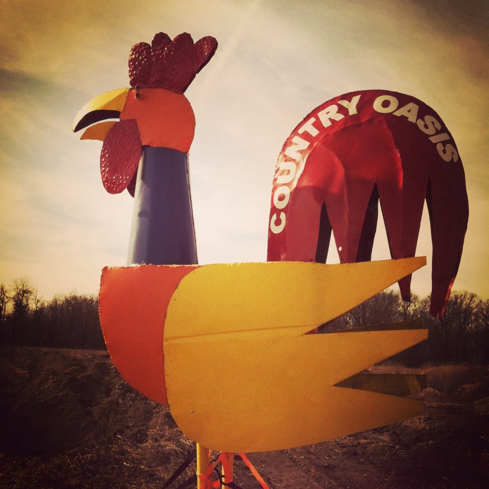 Country Oasis Logo