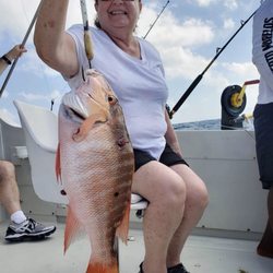 Sport Fishing Dream Catcher - Red snapper