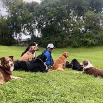 Balanced Paws K9 Training - Pet Training Near Me - Farragut, Tennessee Balanced Paws K9 Training - Pet Training Near Me - Farragut, Tennessee