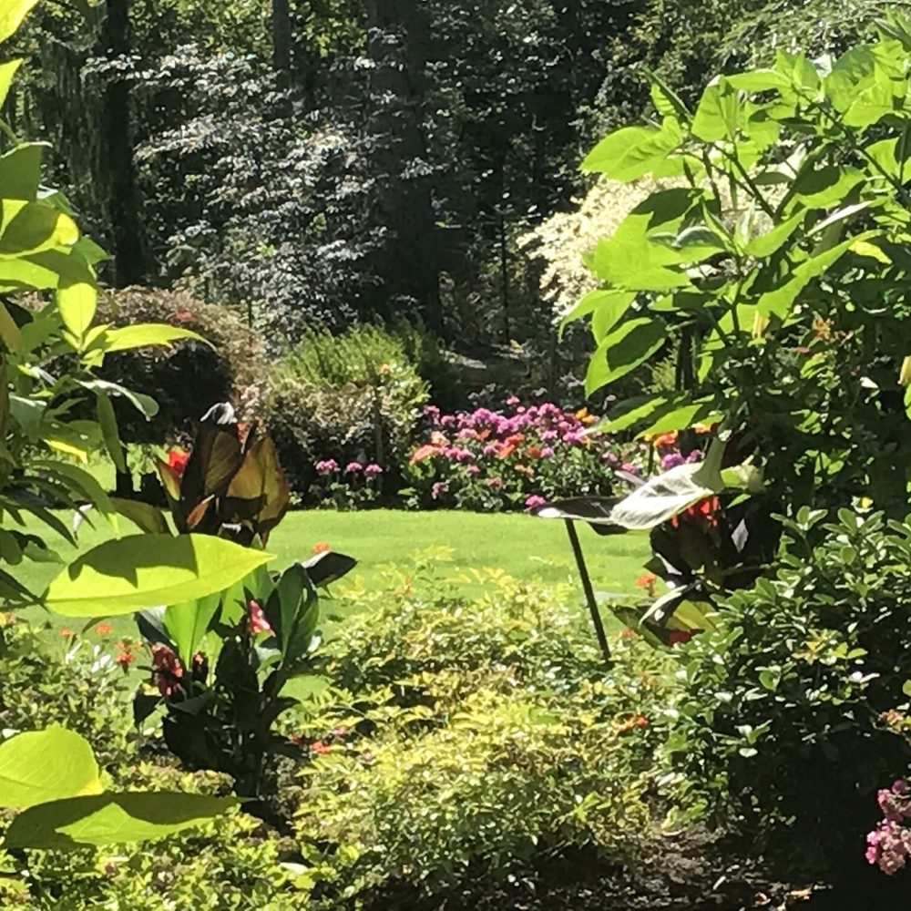 Glen Echo Garden - Venues & Event Spaces Near Me - Bellingham, Washington Glen Echo Garden - Venues & Event Spaces Near Me - Bellingham, Washington