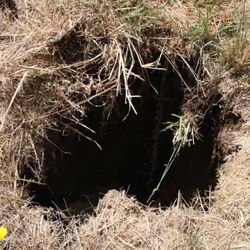 M K Plumbing Repair - Sinkhole that appeared in the back yard.