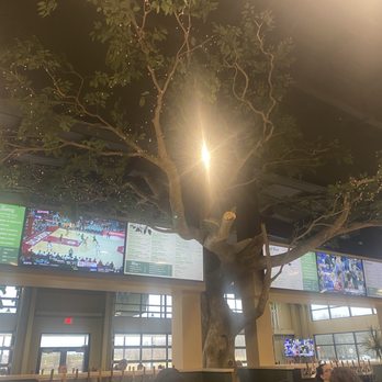 MadTree Parks & Rec - Beer Bar Near Me - Blue Ash, Ohio MadTree Parks & Rec - Beer Bar Near Me - Blue Ash, Ohio