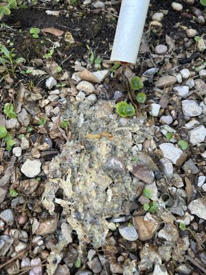 Optimal Air Solutions