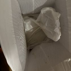 Punjab Indian Cuisine