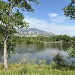 Always great view walking around Viele Lake, even on a hazy humid summer day.