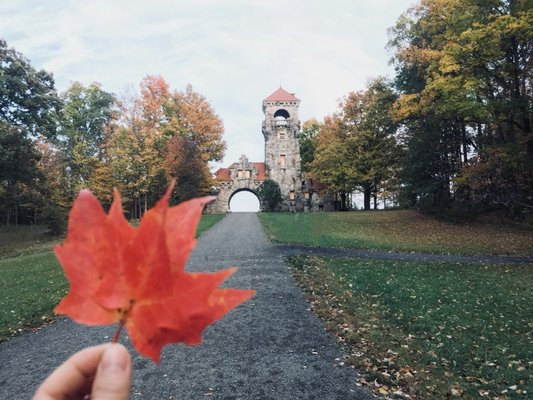 Mohonk Preserve by null