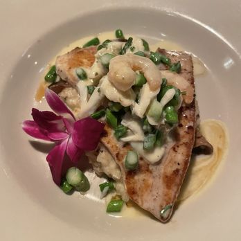Freda's Seafood Grille - Special - Sword Fish with Mushroom Risotto - Seafood Near Me - Austin, Texas Freda's Seafood Grille - Special - Sword Fish with Mushroom Risotto - Seafood Near Me - Austin, Texas