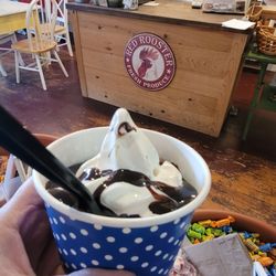 Kiddo size soft serve wuth hot fudge