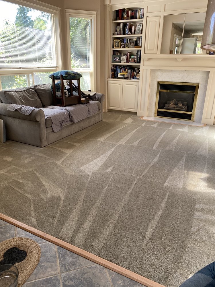 BEST CLEAN OF OLYMPIA Updated May 2024 1808 Stanhope St NE, Olympia