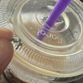 The Coffee Bean & Tea Leaf - Type of cleaning sponge. - Coffee & Tea Near Me - Pasadena, California The Coffee Bean & Tea Leaf - Type of cleaning sponge. - Coffee & Tea Near Me - Pasadena, California