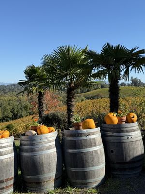 Iron Horse Vineyards by null