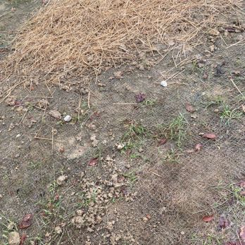 American Turf - I still have patches all over my yard thats with 16 pallets of sod delivered because they stole 6. - Landscaping Near Me - Davidsonville, Maryland American Turf - I still have patches all over my yard thats with 16 pallets of sod delivered because they stole 6. - Landscaping Near Me - Davidsonville, Maryland