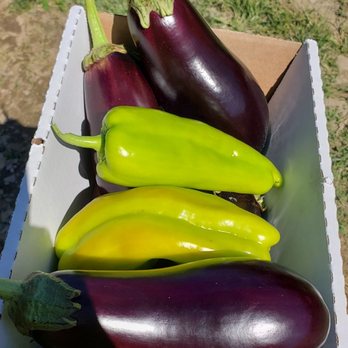 Ochs Orchard - Fruits & Veggies Near Me - Warwick, New York