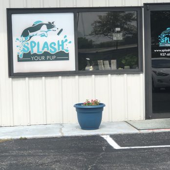 Splash Your Pup - Pet Training Near Me - Moraine, Ohio