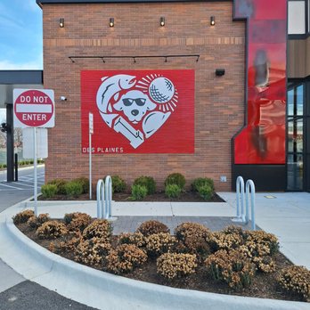 Raising Cane's Chicken Fingers - Chicken Shop Near Me - Des Plaines, Illinois Raising Cane's Chicken Fingers - Chicken Shop Near Me - Des Plaines, Illinois