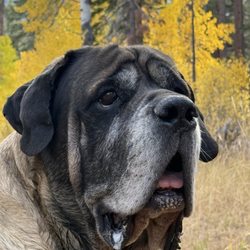 Blue Lake Animal Care Center