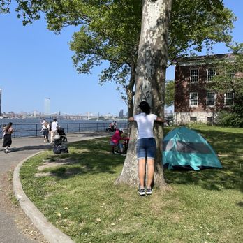 Governors Island Ferry - Me hugging tree - Ferries Near Me - New York, New York