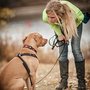 Karma Dog Training