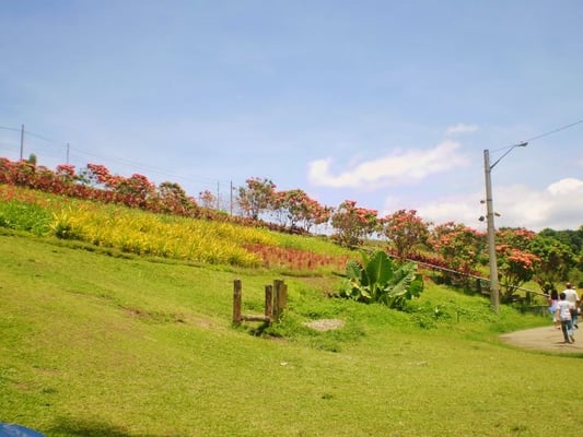 La Mesa Ecopark by null