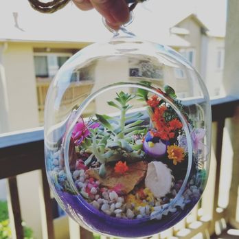 Danville Summerfest - Ended up buying a small succulent terrarium. - Festivals Near Me - Danville, California